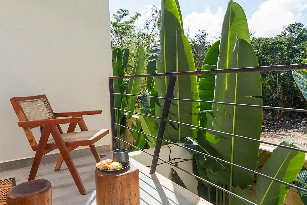 Elegant & Comfortable Studio Tulum Mexico